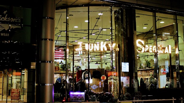 Junky Special 1