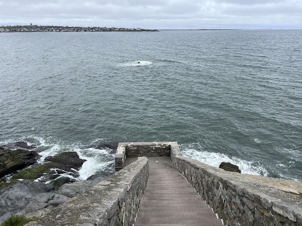 Forty Steps