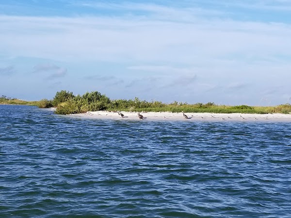 Caladesi Island State Park