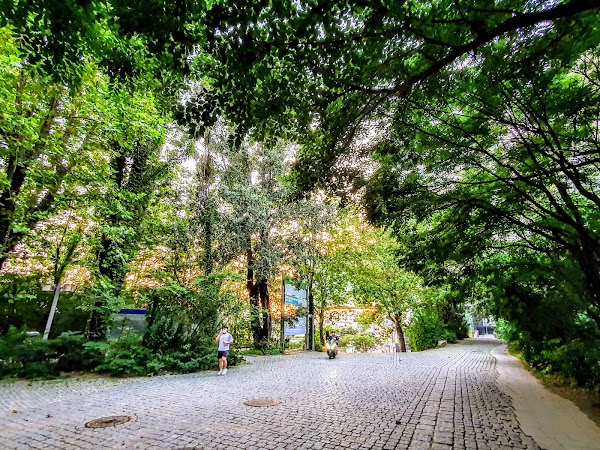 Hongik University, Seoul Campus 4