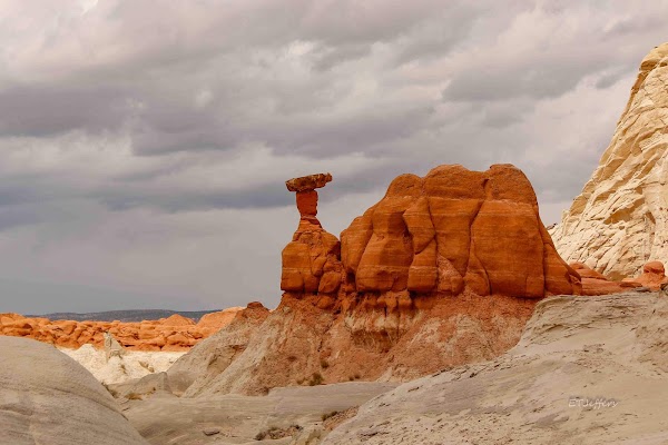 Toadstool Hoodoos 4
