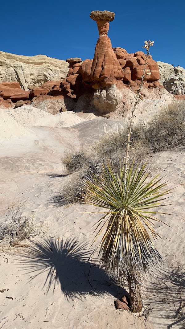 Toadstool Hoodoos 3