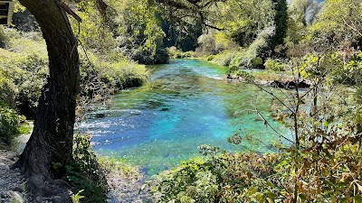 The Blue Eye 1