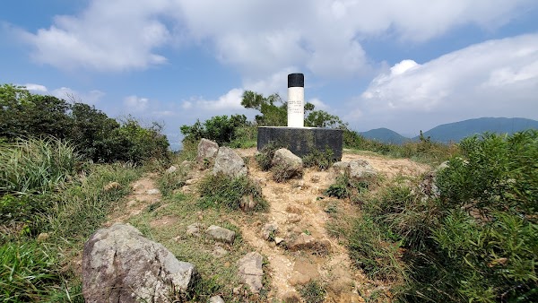Violet Hill 1