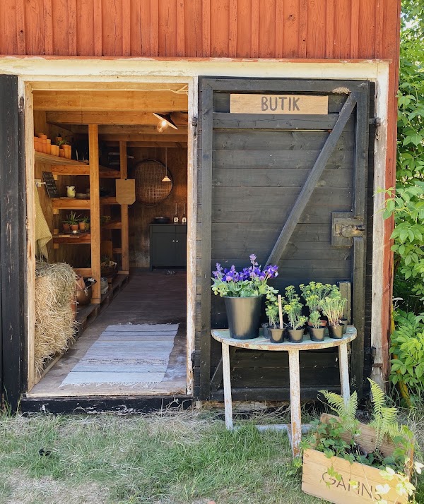 Fröbacken- café, snittblomsodling och gårdsbutik 1