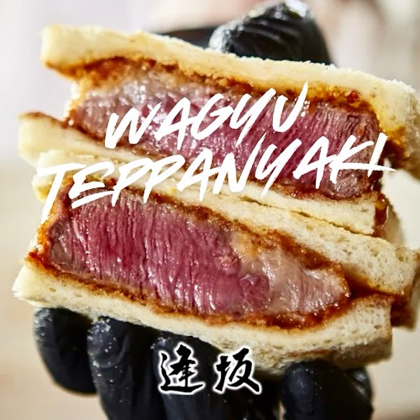 Teppanyaki Ousaka 5