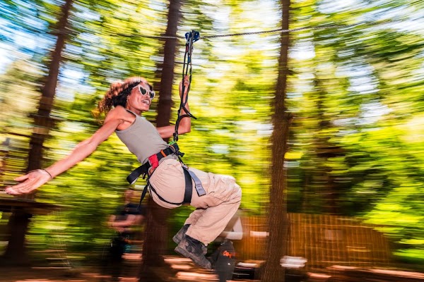 Go Ape Alice Holt