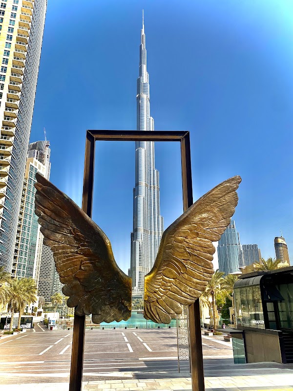 Wings of Mexico