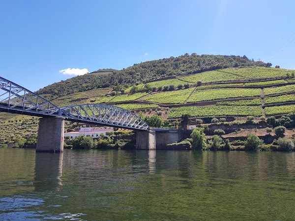 Vale do Douro 5