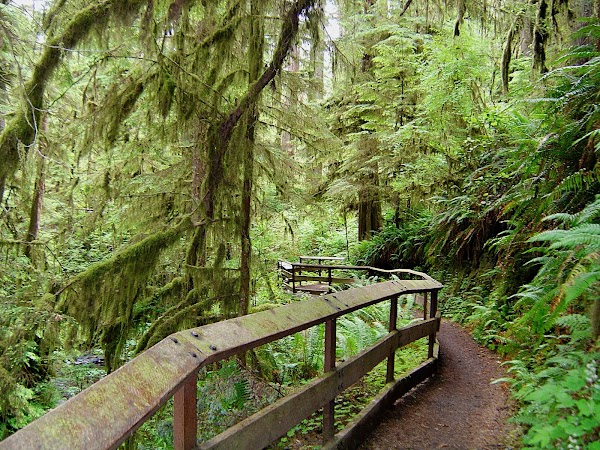 North America National Parks 23