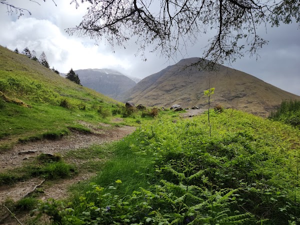 Hagrid's Hut 5