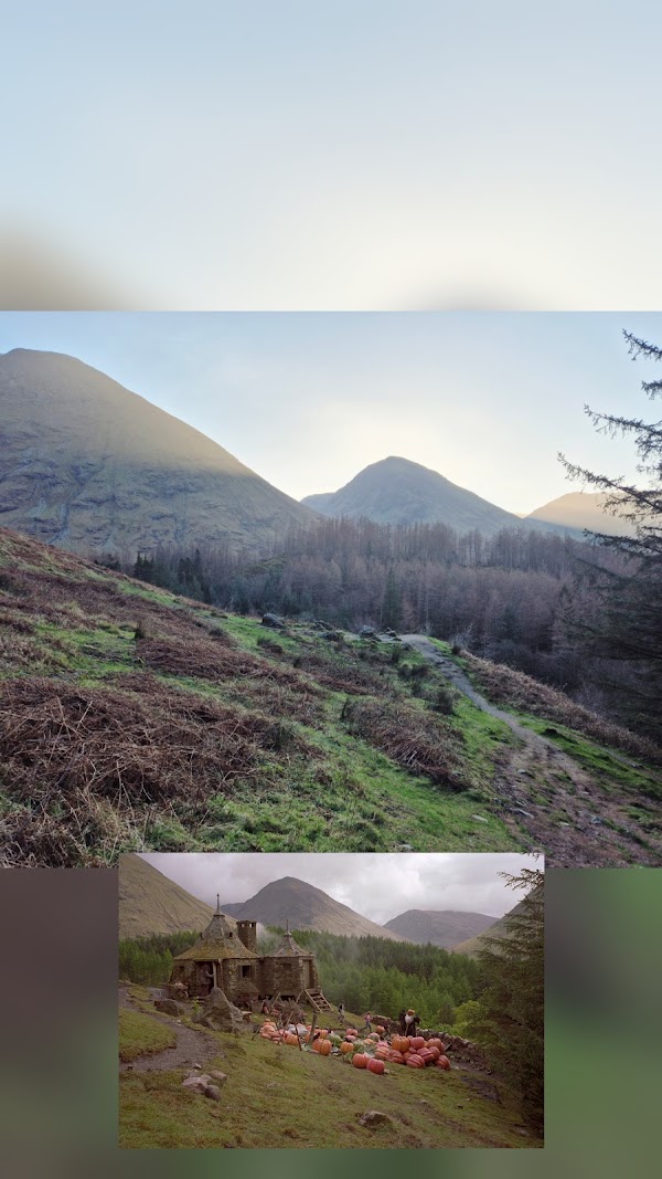 Hagrid's Hut 4