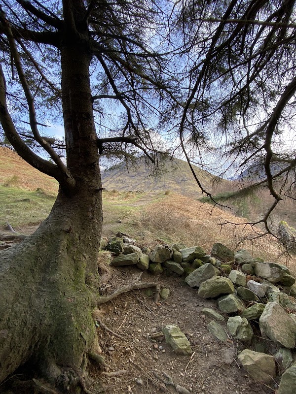Hagrid's Hut 3