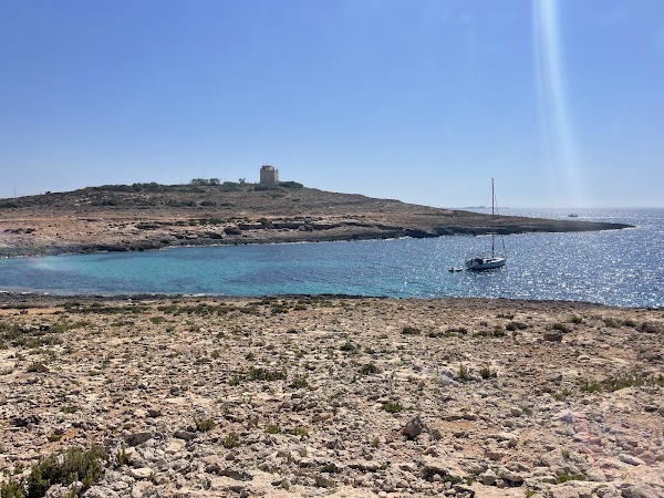 Coral Lagoon 5