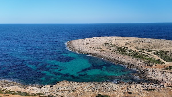 Coral Lagoon 4
