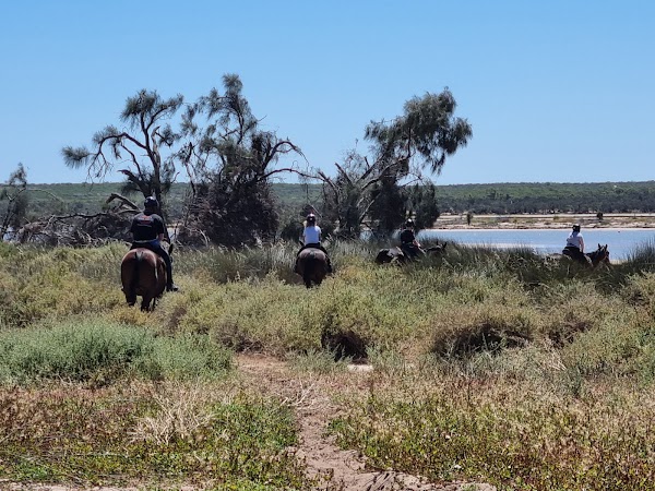 Kalbarri 3