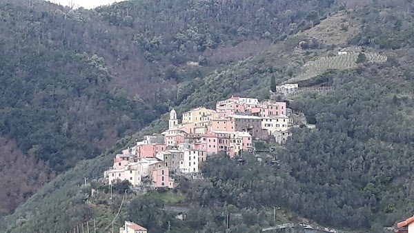 Levanto