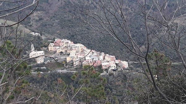 Levanto 2