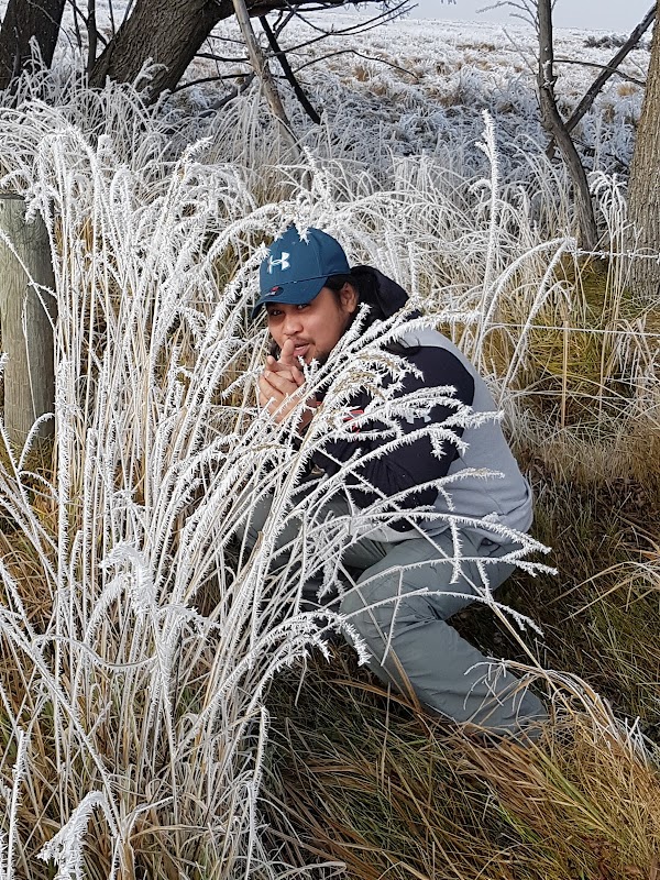 Mackenzie Basin 2