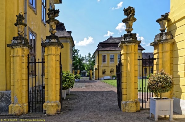 Schloss Mosigkau 5