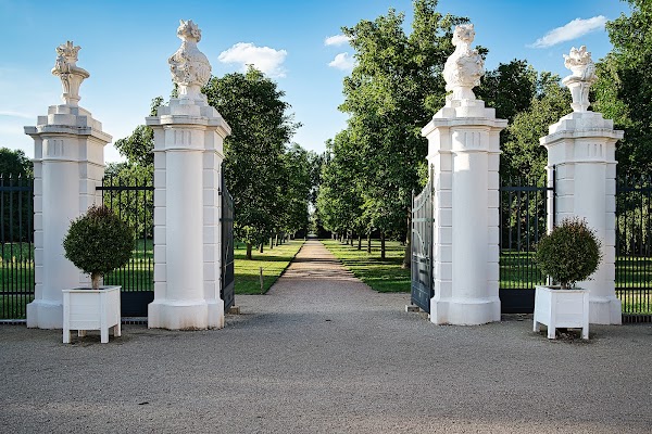 Schloss Mosigkau 4