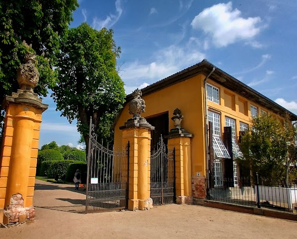 Schloss Mosigkau 3