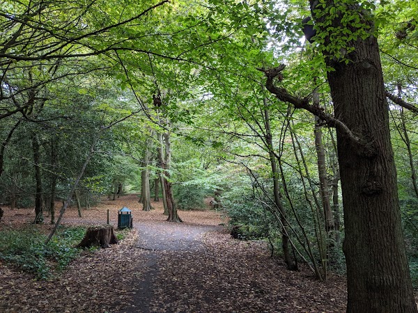 Queen's Wood 5