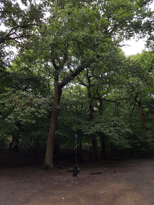 Queen's Wood 4
