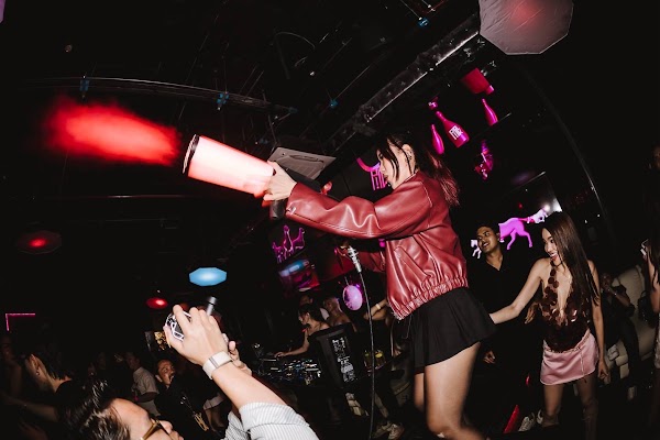 PINK NIGHTCLUB 2