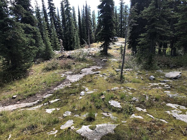 Saddle Mountain 2