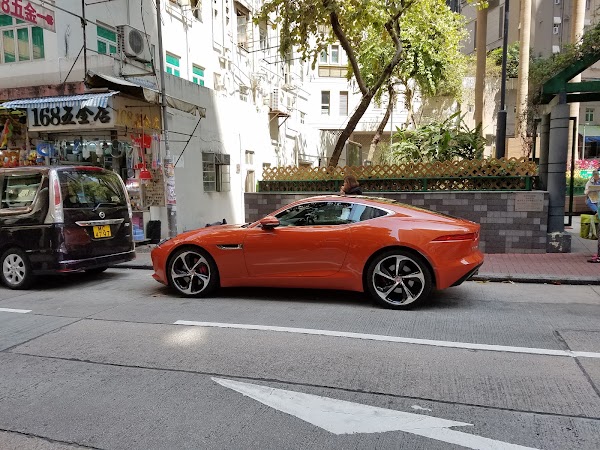 Spring Garden Lane 5
