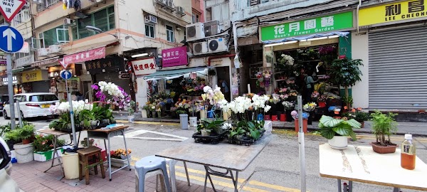 Spring Garden Lane 4