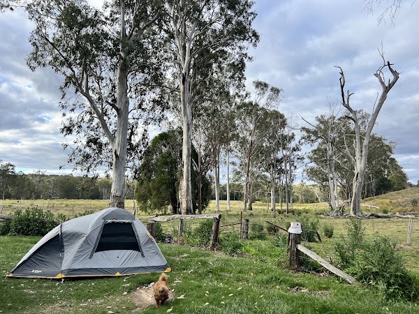 Flanagan Reserve Bush Camping 5