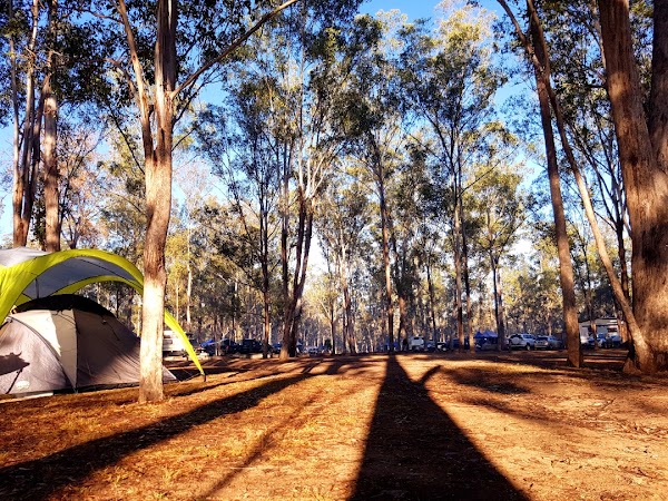 Flanagan Reserve Bush Camping 3
