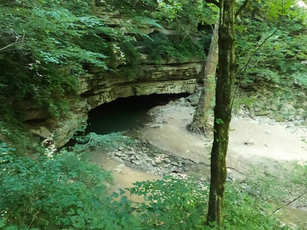 Mammoth Cave 3