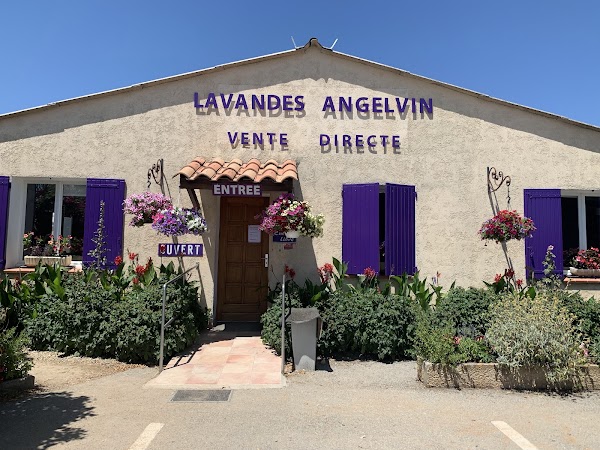 Lavandes Angelvin
