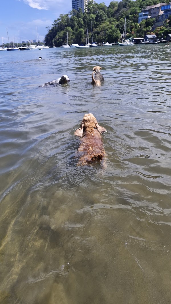 Sirius Cove Beach 2