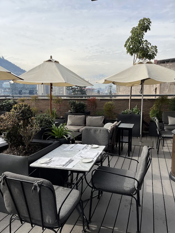 The Singular Restaurant 2