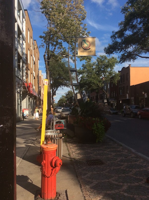 Little Italy 4