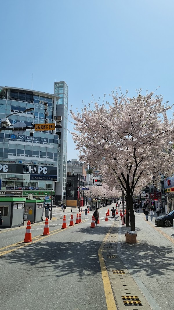 Yonsei-ro 5