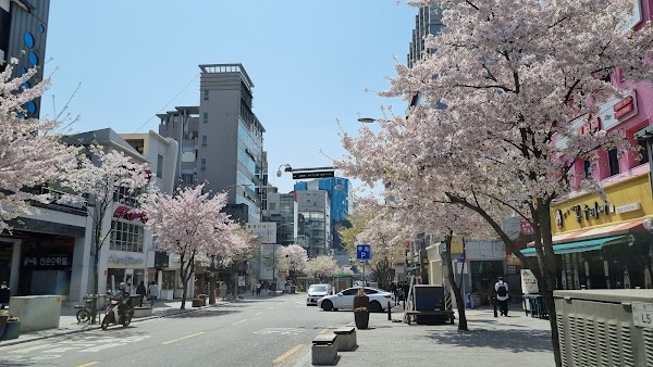 Yonsei-ro 4
