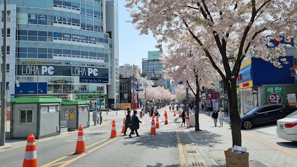 Yonsei-ro 2