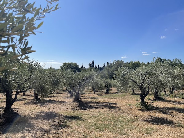 Dr. Kavvadia's Organic Farm