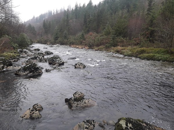 Afon Ystwyth 1