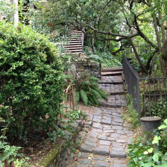 Macondray Lane 1
