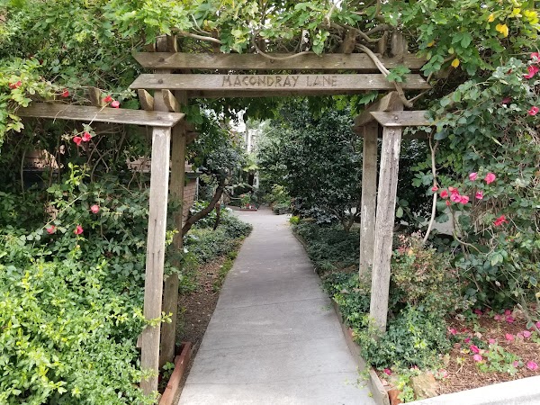 Macondray Lane 5