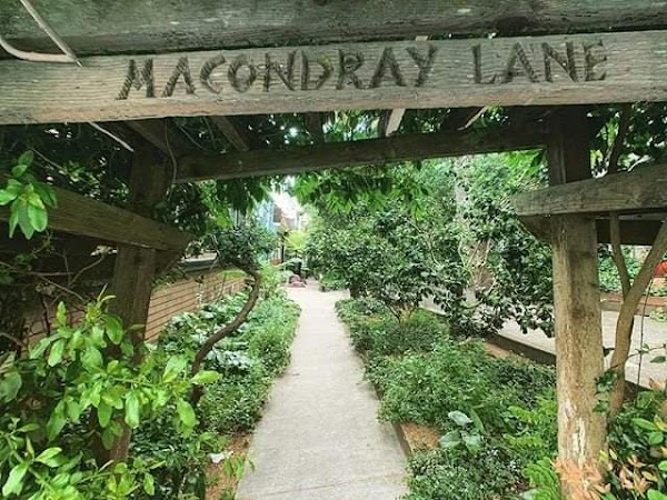 Macondray Lane 4