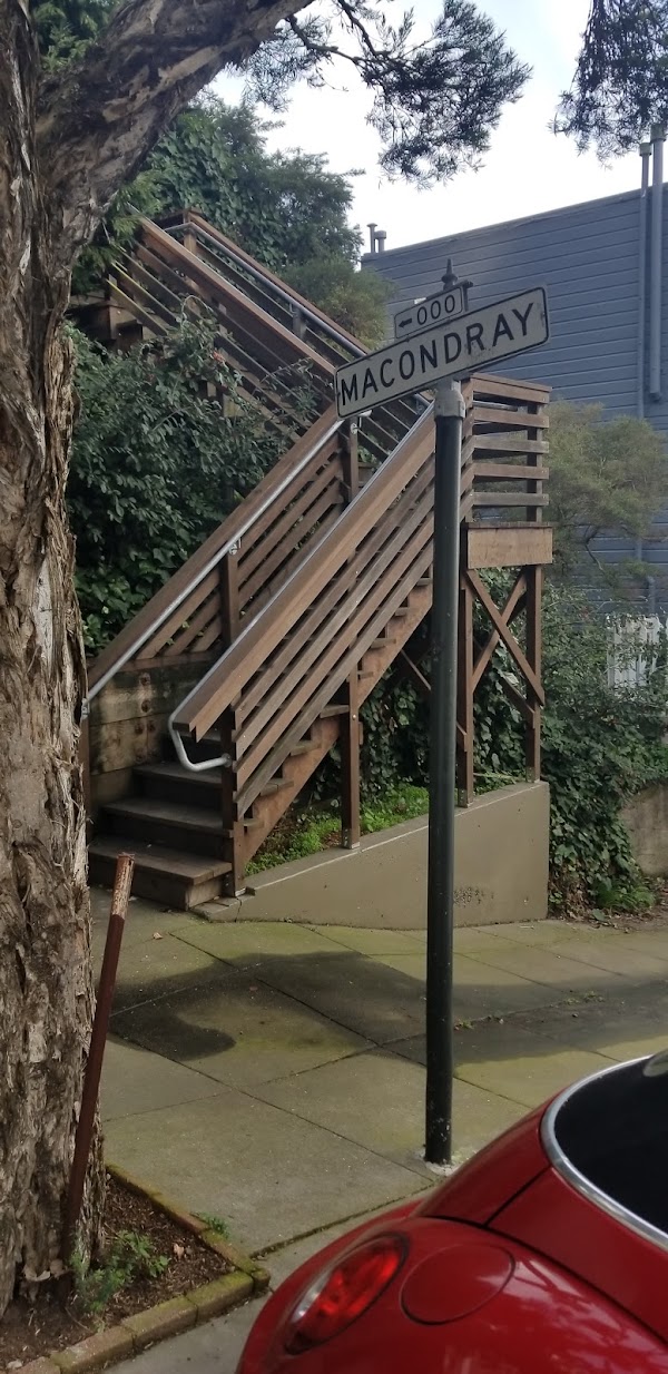 Macondray Lane 2