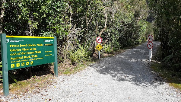 Franz Josef Glacier Car Park 5