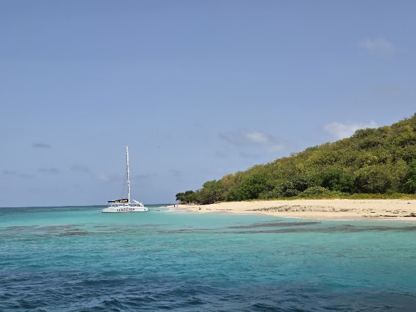 Buck Island 1